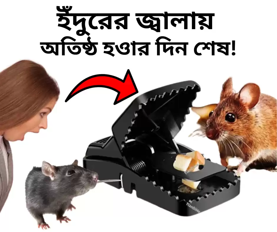 Mouse Trap (1 Pcs)